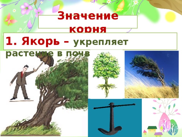 6 значений корня. Значение корней в природе 6 класс. Значение корней в природе биология 6 класс. Значение корня в жизни растения и в природе. Каково значение корней для растения.