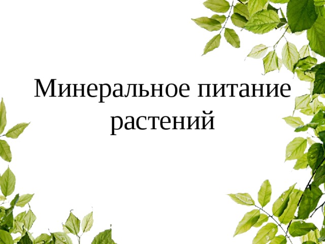 Минеральное питание растений 