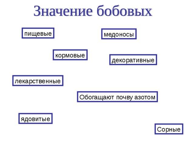 Значение бобовых. Значение семейства бобовых. Семейство бобовые значение для человека. Значение бобовых растений. Значение бобовых в природе.