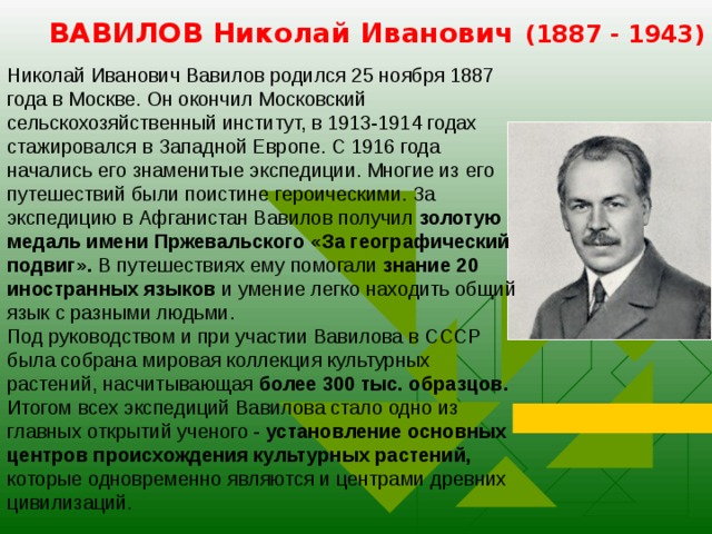 Вавилов проект 3 класс