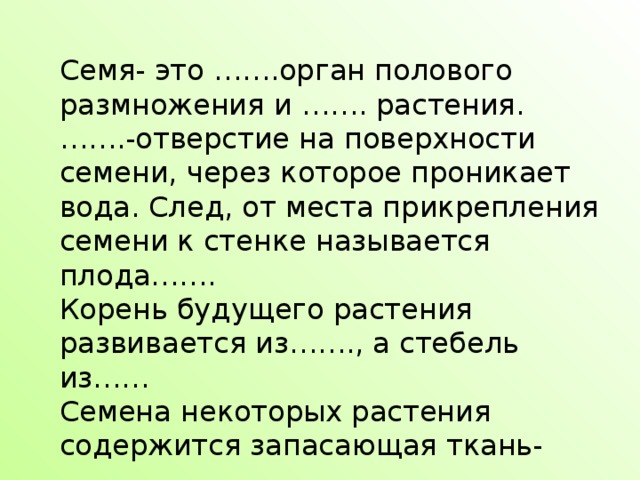 Как называется след на месте прикрепления семени к стенке плода