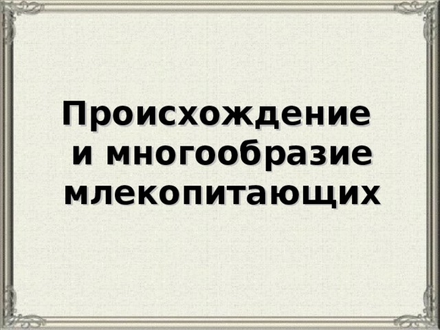 Происхождение и многообразие млекопитающих 