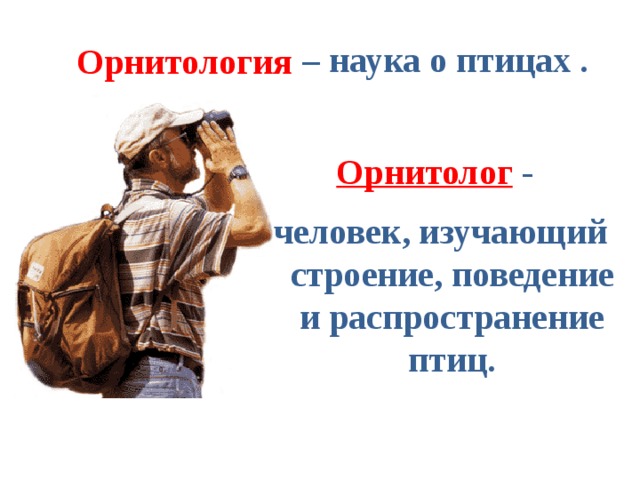 – наука о птиц ах . Орнитолог ия  Орнитолог - человек , изучающи й строение, поведение и распространение птиц. 