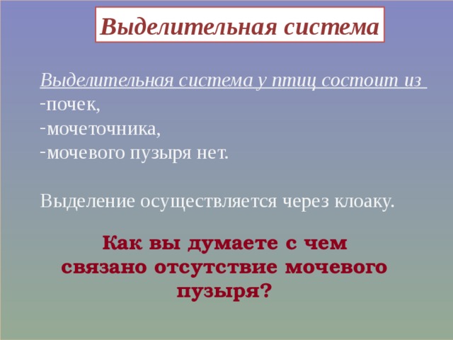 Выделительная система Выделительная система у птиц состоит из почек, мочеточника, мочевого пузыря нет.  Выделение осуществляется через клоаку. Как вы думаете с чем связано отсутствие мочевого пузыря? 