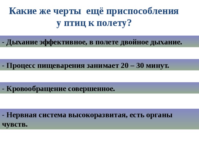 Какие же черты ещё приспособления у птиц к полету? - Дыхание эффективное, в полете двойное дыхание. - Процесс пищеварения занимает 20 – 30 минут. - Кровообращение совершенное. - Нервная система высокоразвитая, есть органы чувств. 