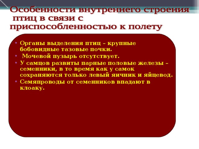 Органы выделения птиц – крупные бобовидные тазовые почки.  Мочевой пузырь отсутствует. У самцов развиты парные половые железы – семенники, в то время как у самок сохраняются только левый яичник и яйцевод. Семяпроводы от семенников впадают в клоаку.  