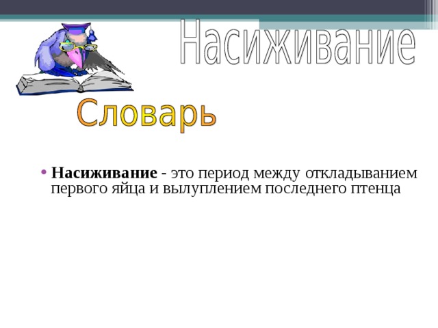 Насиживание - это период между откладыванием первого яйца и вылуплением последнего птенца 
