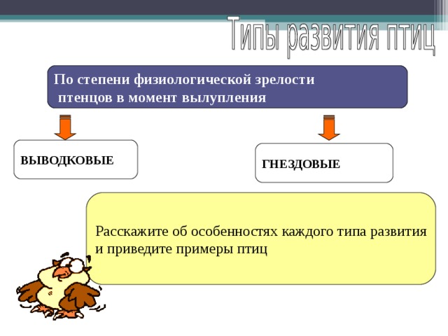 По степени физиологической зрелости  птенцов в момент вылупления ВЫВОДКОВЫЕ ГНЕЗДОВЫЕ Расскажите об особенностях каждого типа развития и приведите примеры птиц 