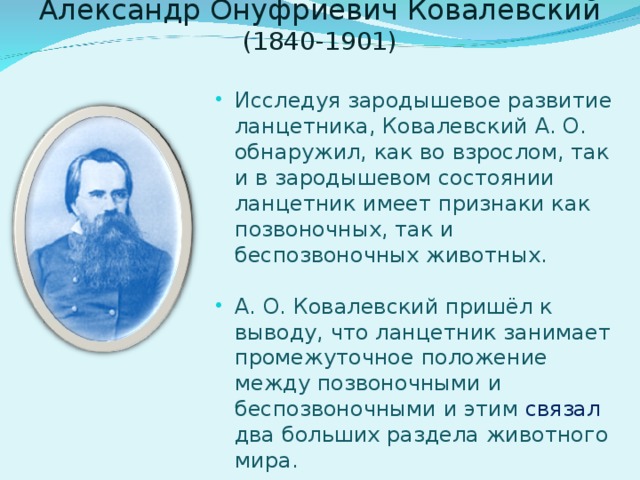    Александр Онуфриевич Ковалевский (1840-1901)   Исследуя зародышевое развитие ланцетника, Ковалевский А. О. обнаружил, как во взрослом, так и в зародышевом состоянии ланцетник имеет признаки как позвоночных, так и беспозвоночных животных.  А. О. Ковалевский пришёл к выводу, что ланцетник занимает промежуточное положение между позвоночными и беспозвоночными и этим связал два больших раздела животного мира. 