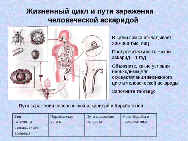 Жизненный цикл автомобильной дороги