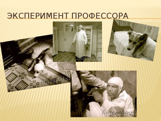 Эксперимент профессора 
