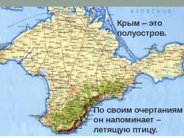 Крым – это полуостров. По своим очертаниям он напоминает – летящую птицу. 