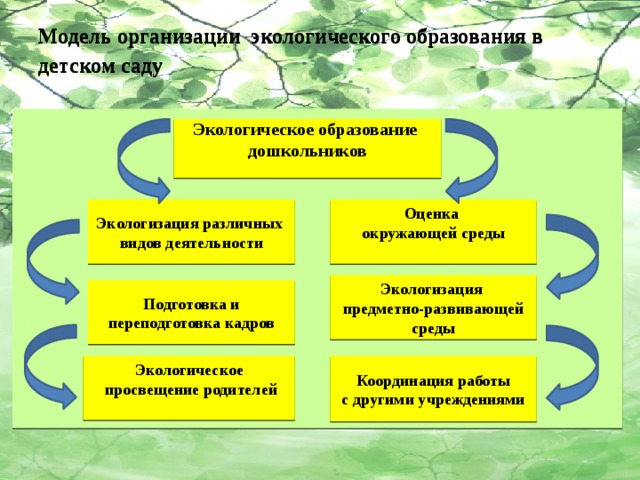 Экологическое образование и просвещение школьников проект