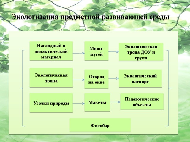 Экологические представления. Мини среды.