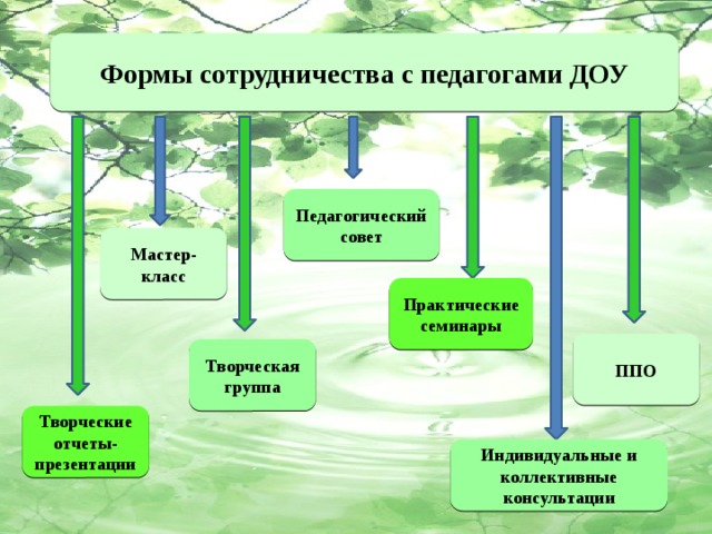 Экологические представления