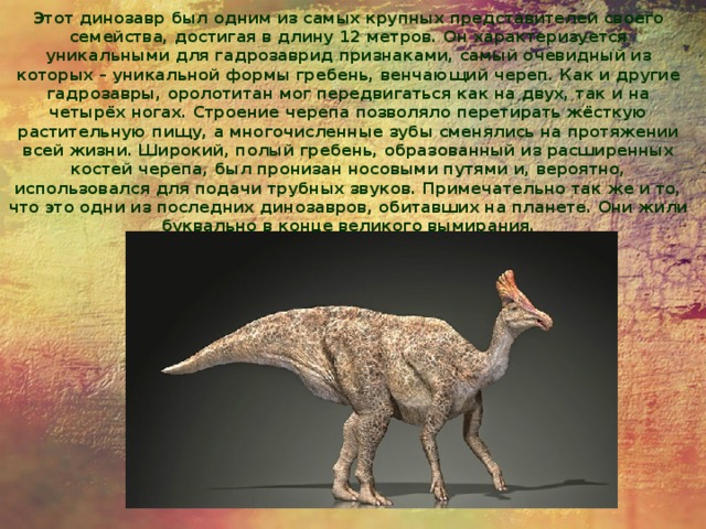 Этот динозавр был одним из самых крупных представителей своего семейства, достигая в длину 12 метров. Он характеризуется уникальными для гадрозаврид признаками, самый очевидный из которых – уникальной формы гребень, венчающий череп. Как и другие гадрозавры, оролотитан мог передвигаться как на двух, так и на четырёх ногах. Строение черепа позволяло перетирать жёсткую растительную пищу, а многочисленные зубы сменялись на протяжении всей жизни. Широкий, полый гребень, образованный из расширенных костей черепа, был пронизан носовыми путями и, вероятно, использовался для подачи трубных звуков. Примечательно так же и то, что это одни из последних динозавров, обитавших на планете. Они жили буквально в конце великого вымирания. 
