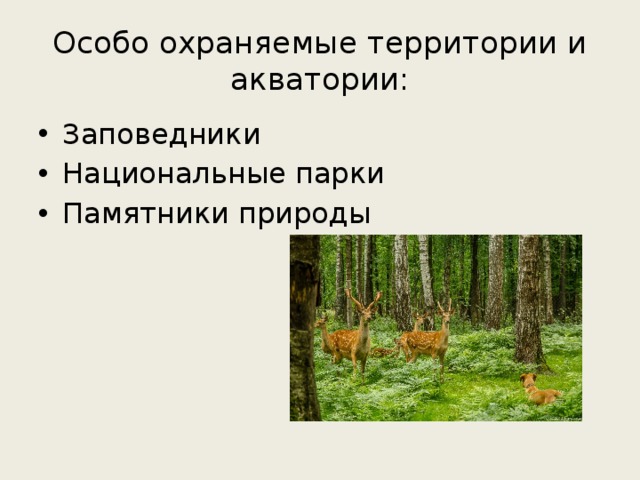 Особо охраняемые территории и акватории: Заповедники Национальные парки Памятники природы 