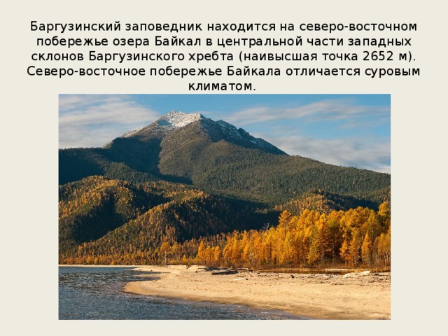 Баргузинский заповедник находится на северо-восточном побережье озера Байкал в центральной ча­сти западных склонов Баргузинского хребта (наивысшая точка 2652 м). Северо-восточное побережье Байкала отличается суровым климатом. 