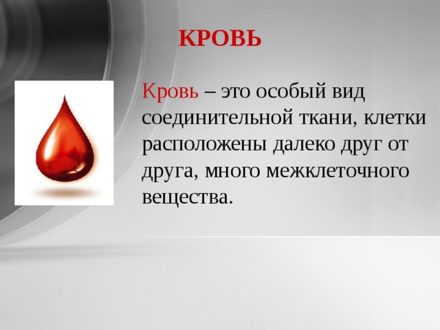 КРОВЬ  Кровь – это особый вид соединительной ткани, клетки расположены далеко друг от друга, много межклеточного вещества. 