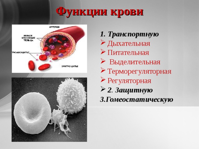 Функции крови 1.   Транспортную   Дыхательная Питательная  Выделительная Терморегуляторная Регуляторная 2 . Защитную 3.Гомеостатическую   