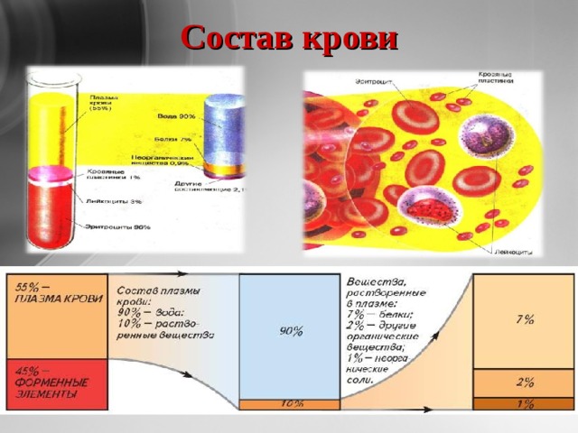 Состав крови 