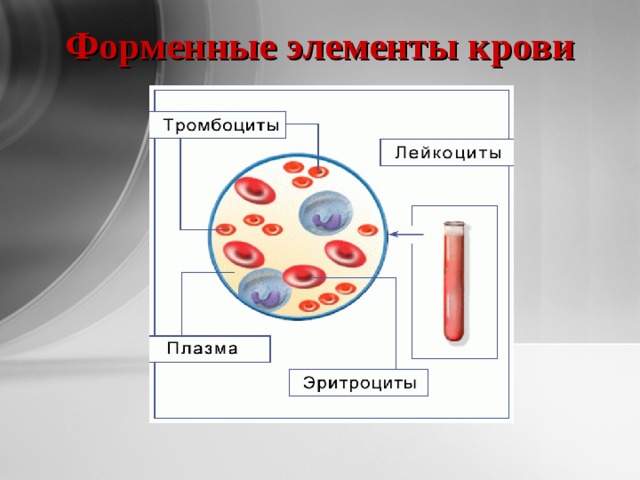 Форменные элементы крови 
