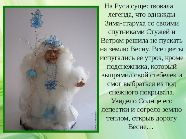 На Руси существовала легенда, что однажды Зима-старуха со своими спутниками Стужей и Ветром решила не пускать на землю Весну. Все цветы испугались ее угроз, кроме подснежника, который выпрямил свой стебелек и смог выбраться из под снежного покрывала. Увидело Солнце его лепестки и согрело землю теплом, открыв дорогу Весне…  