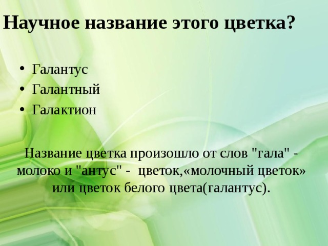 Научное название этого цветка? Галантус Галантный Галактион Название цветка произошло от слов 