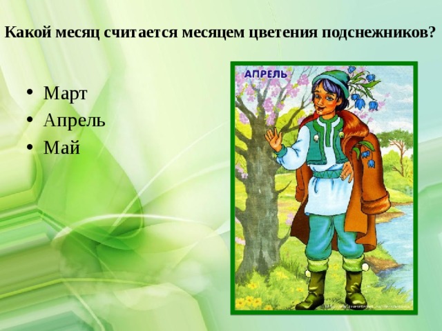 Какой месяц считается месяцем цветения подснежников?   Март Апрель Май 