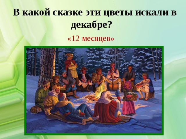  В какой сказке эти цветы искали в декабре? «12 месяцев» 