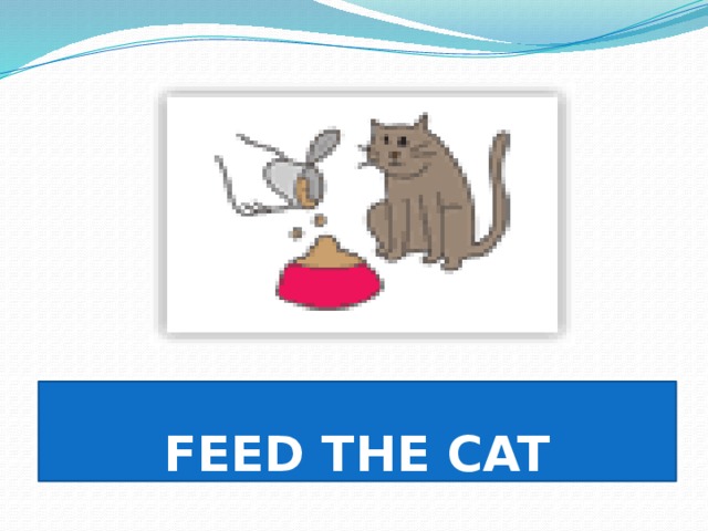 FEED THE CAT 