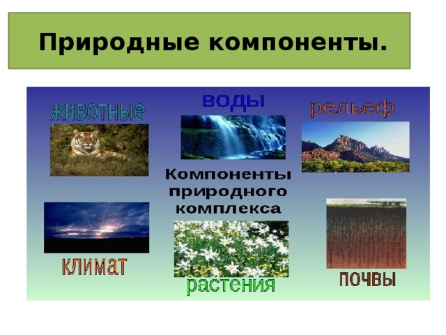 Чем отличается природный комплекс от природного компонента