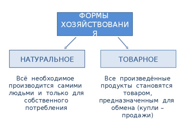 Обществознание 7 класс презентации обществознание 7 класс