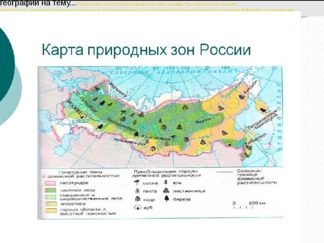 Связанные картинки                           Карта природных зон России - Картинка 4951-4 900igr.net Картинка 4 из презентации 