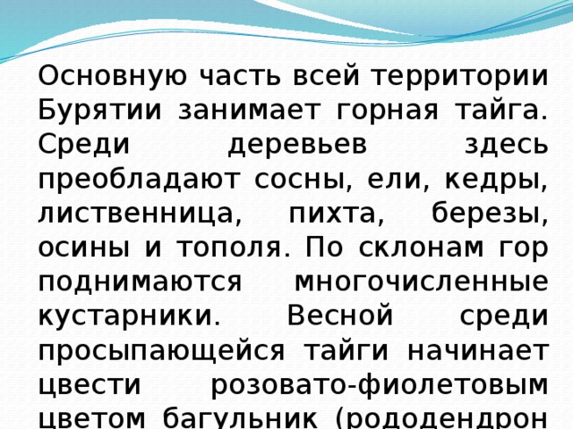 Основную часть всей территории Бурятии занимает горная тайга. Среди деревьев здесь преобладают сосны, ели, кедры, лиственница, пихта, березы, осины и тополя. По склонам гор поднимаются многочисленные кустарники. Весной среди просыпающейся тайги начинает цвести розовато-фиолетовым цветом багульник (рододендрон даурский). 