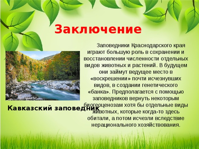 Природа краснодарского края проект