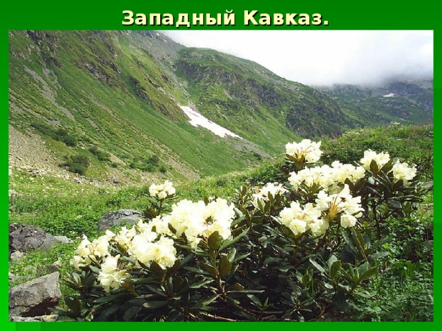 Западный Кавказ. 