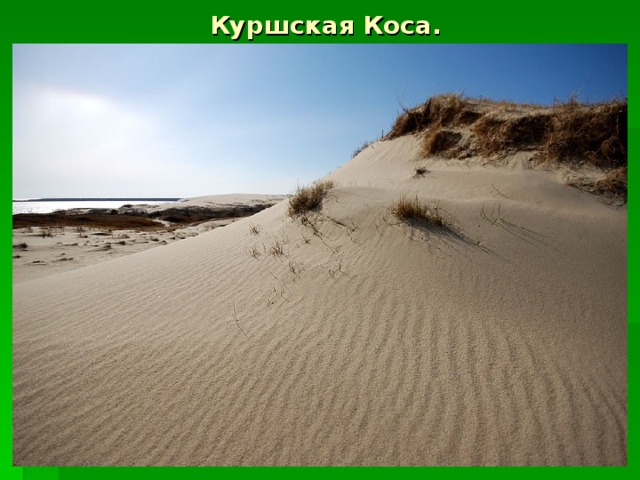 Куршская Коса. 