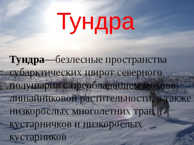 Описание природы тундры. Капсулы тундра. Рассказ описание природа тундры. Северные безлесные природные зоны. Широта тундры. Описание природы тундры. Капсулы тундра. Рассказ описание природа тундры. Северные безлесные природные зоны.