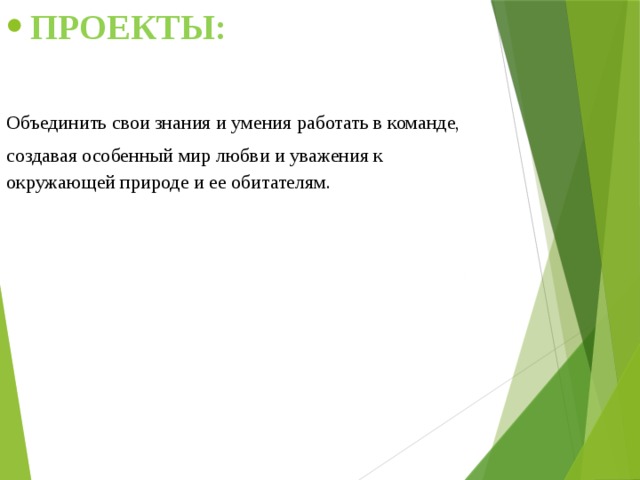 ПРОЕКТЫ:  Объединить свои знания и умения работать в команде,  создавая особенный мир любви и уважения к окружающей природе и ее обитателям. 