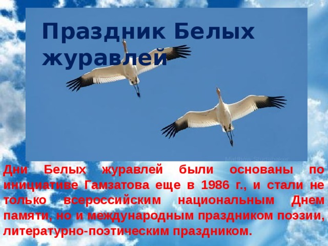 Праздник Белых журавлей Дни Белых журавлей были основаны по инициативе Гамзатова еще в 1986 г., и стали не только всероссийским национальным Днем памяти, но и международным праздником поэзии, литературно-поэтическим праздником.  