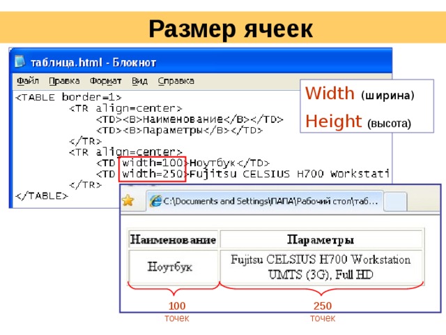 Ячейка таблицы css. Ширина и высота в html. Размер картинки в html. Html ширина и высота ячейки. Высота картинки html.