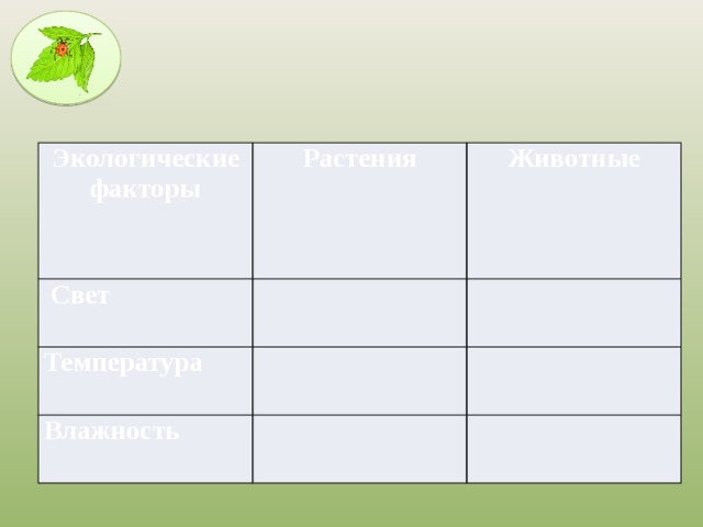 Экологические факторы Растения  Свет Животные Температура Влажность 