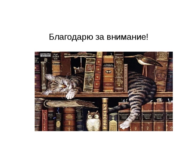 Благодарю за внимание! 