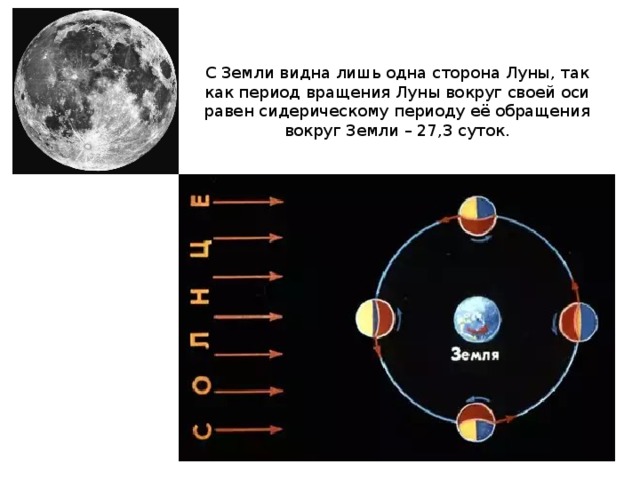 С Земли видна лишь одна сторона Луны, так как период вращения Луны вокруг своей оси равен сидерическому периоду её обращения вокруг Земли – 27,3 суток. 