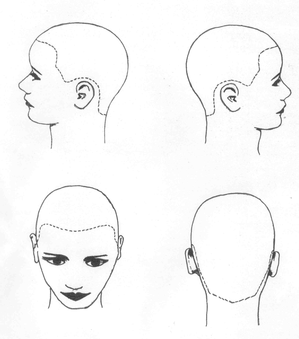 Условное голов. Схема головы для парикмахеров. Эскизы головы для парикмахеров. Форма головы для парикмахеров. Парикмахер разметка головы.