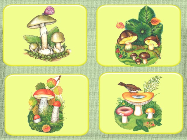 Грибы растения животные что лишнее. Четвертый лишний грибы. Дидактическая игра съедобные и несъедобные грибы. Съедобные грибы дидактическая игра. Съедобные и несъедобные грибы для дошкольников.