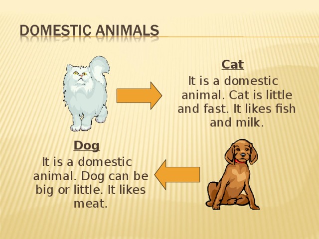 Cat It is a domestic animal. Cat is little and fast. It likes fish and milk. Dog It is a domestic animal. Dog can be big or little. It likes meat. 