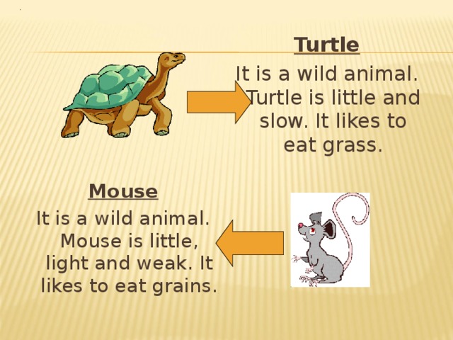 Turtle It is a wild animal. Turtle is little and slow. It likes to eat grass. Mouse It is a wild animal. Mouse is little, light and weak. It likes to eat grains. 
