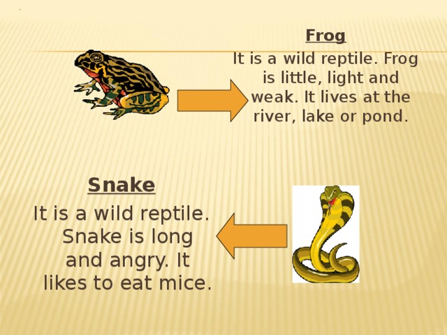 Frog It is a wild reptile. Frog is little, light and weak. It lives at the river, lake or pond. Snake It is a wild reptile. Snake is long and angry. It likes to eat mice. 